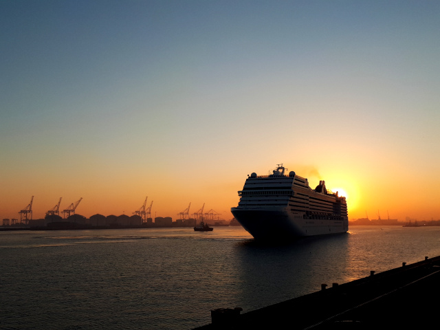  MSC Musica skip what in Kaapstad Hawe by sonsopkoms aankom, 26 Januarie 2019